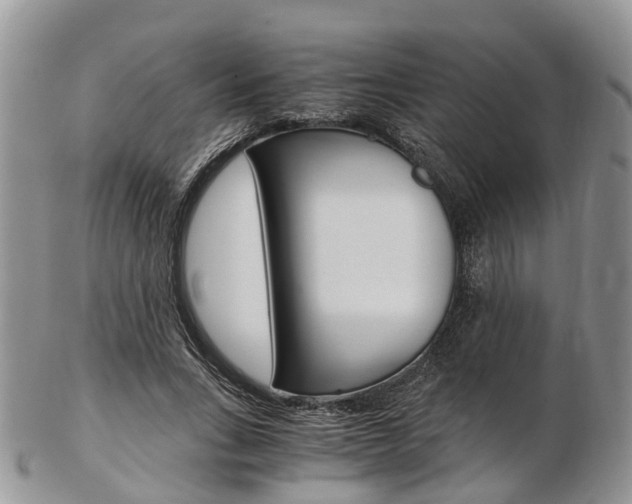 X0000103140735200808221104