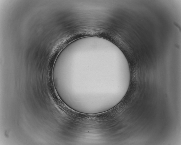 X0000103140736200808221104