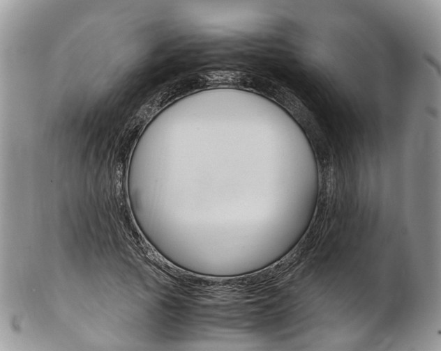 X0000103140737200808221104
