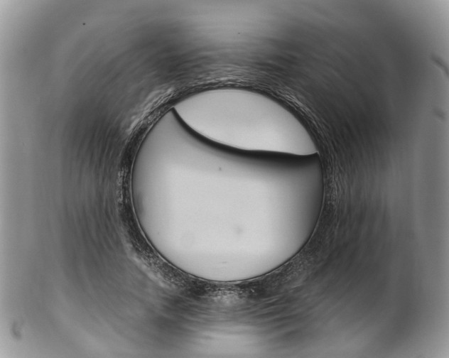 X0000103140738200808221104