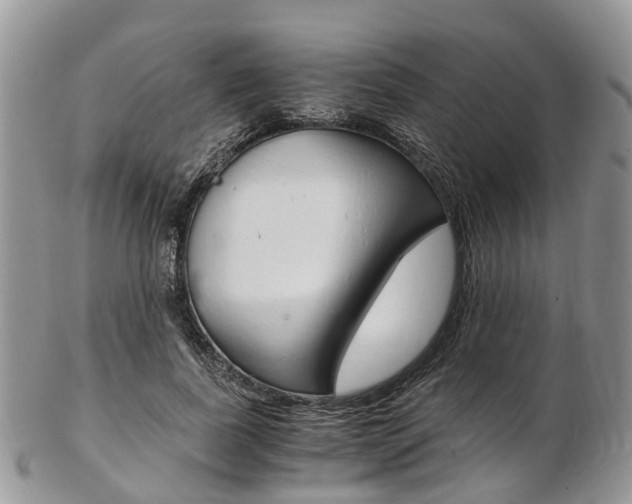 X0000103140739200808221104