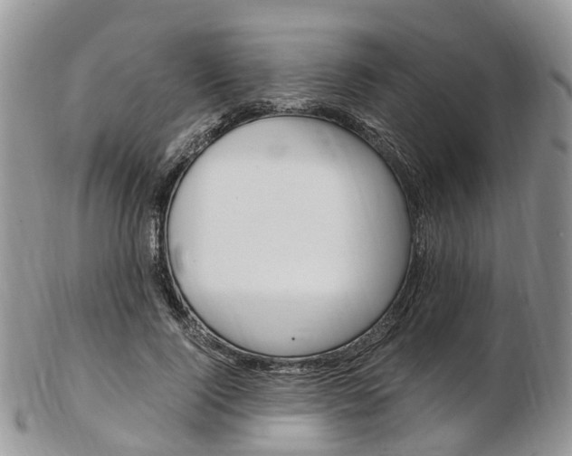 X0000103140740200808221104