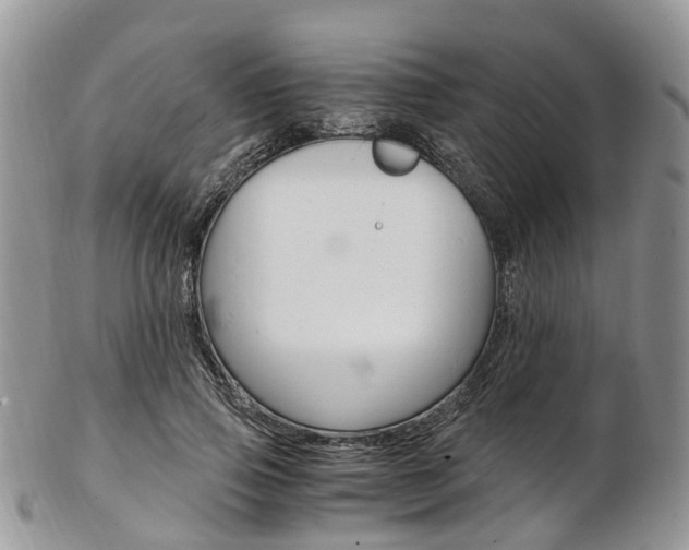 X0000103140741200808221104