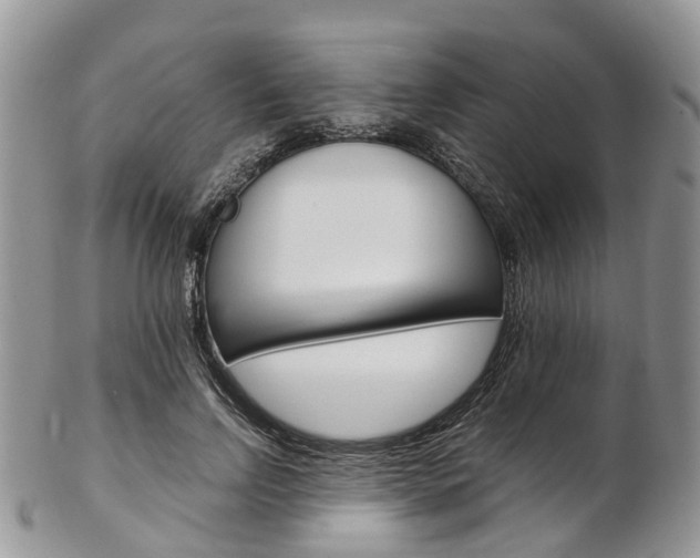 X0000103140742200808221104