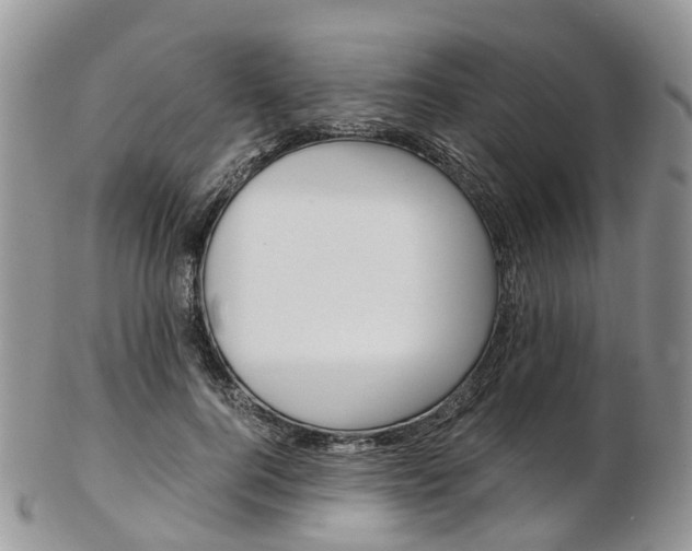 X0000103140744200808221104