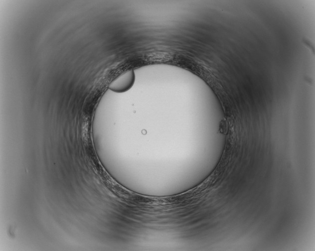 X0000103140745200808221104