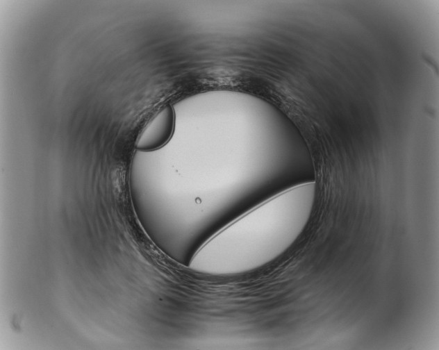 X0000103140747200808221104