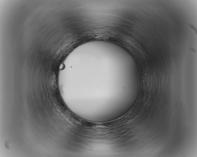 X0000103140748200808221104