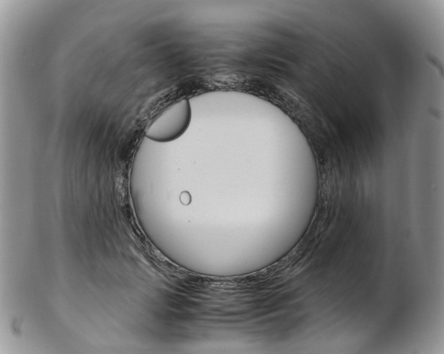 X0000103140749200808221104