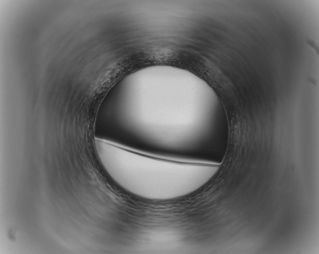 X0000103140750200808221104