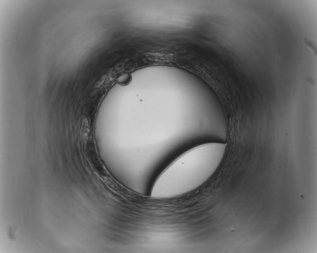 X0000103140752200808221104