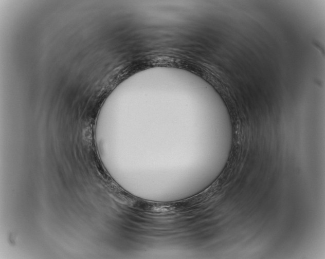 X0000103140753200808221104