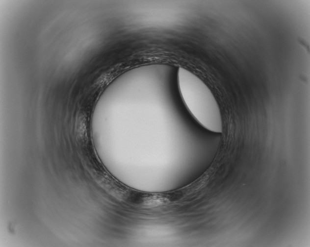 X0000103140754200808221104