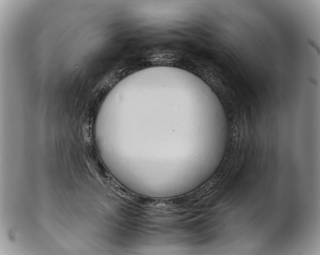 X0000103140755200808221104