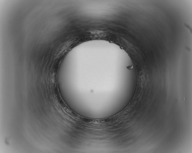 X0000103140756200808221104