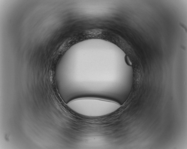 X0000103140758200808221104