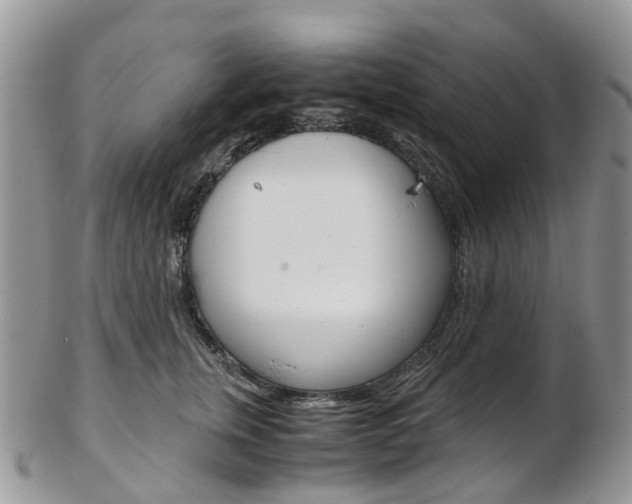 X0000103140759200808221104