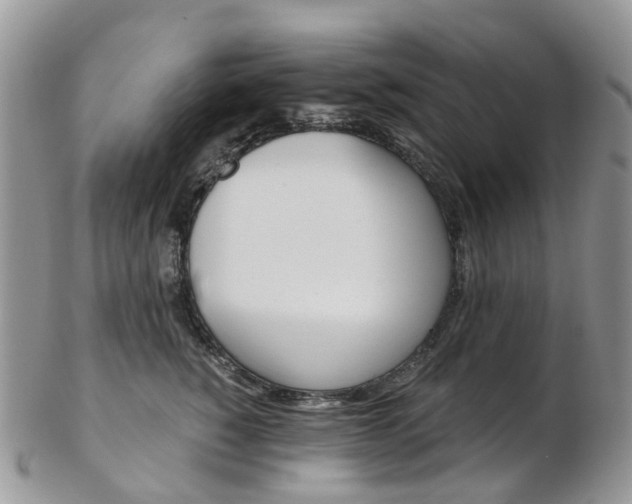 X0000103140760200808221104