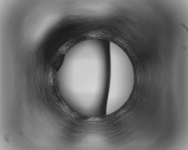 X0000103140762200808221104