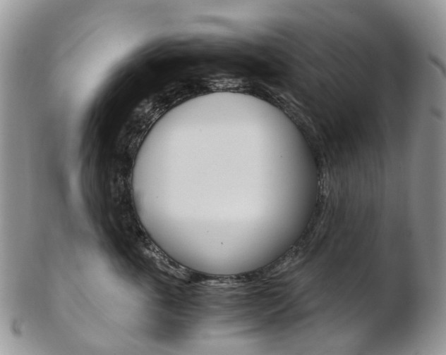 X0000103140763200808221104