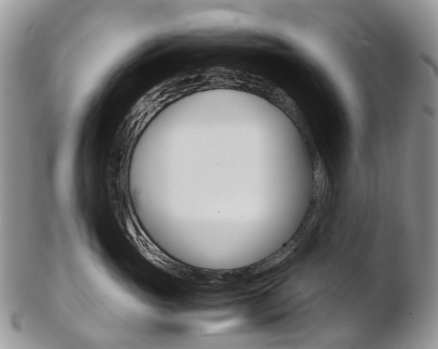 X0000103140765200808221104