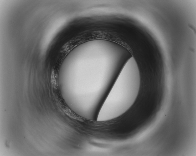 X0000103140766200808221104
