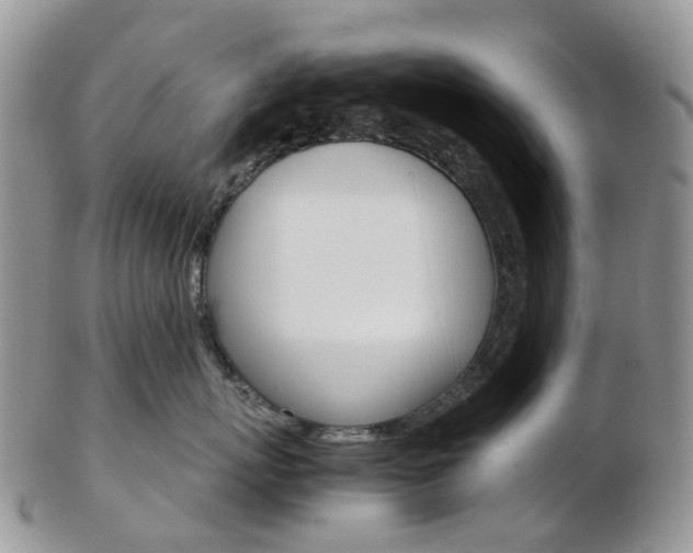 X0000103140767200808221104
