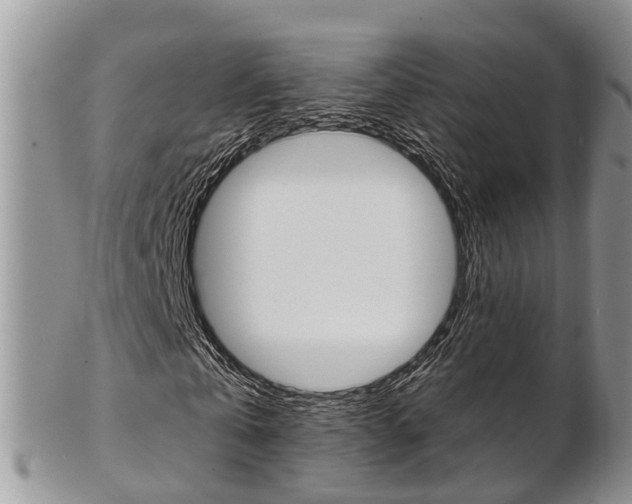 X0000103140769200808221103