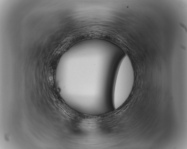 X0000103140771200808221103