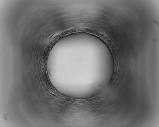 X0000103140773200808221103