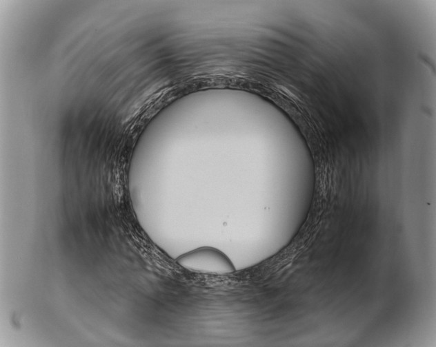 X0000103140774200808221103