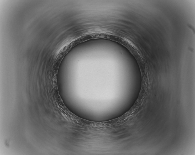X0000103140775200808221103