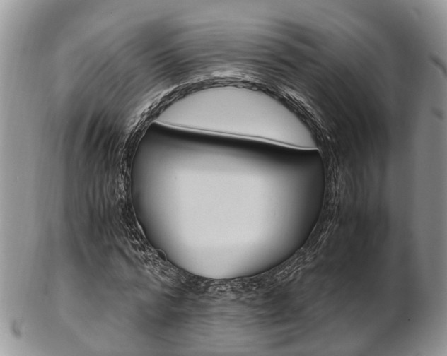 X0000103140776200808221103