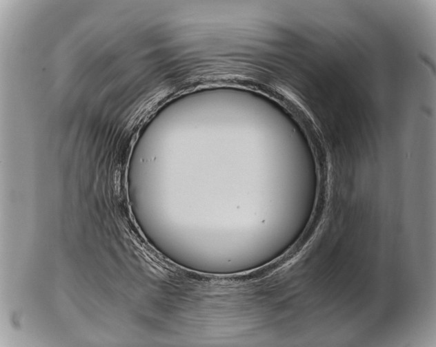 X0000103140777200808221103