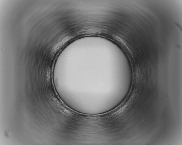 X0000103140778200808221103