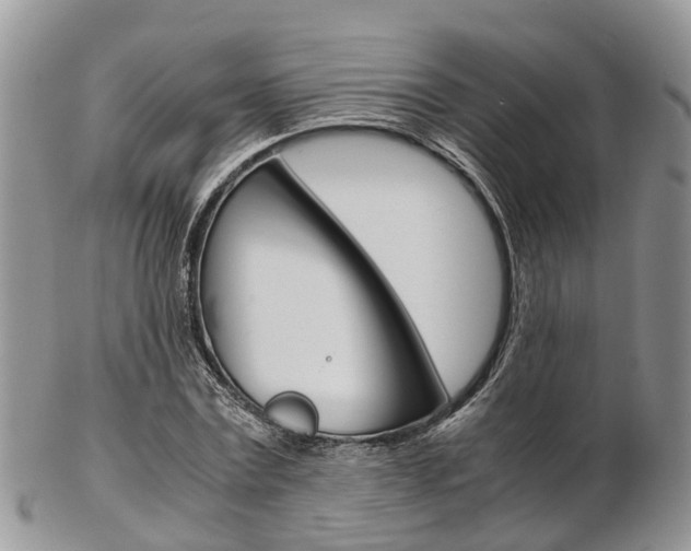 X0000103140779200808221103