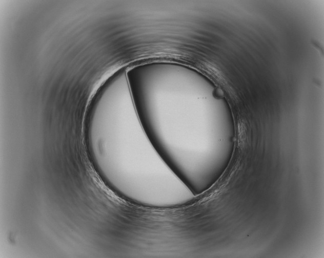 X0000103140780200808221103