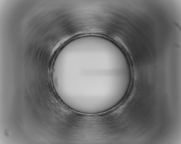 X0000103140781200808221103