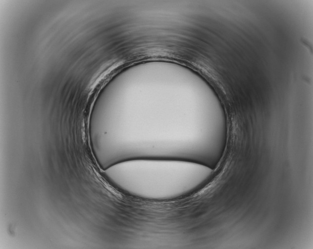 X0000103140782200808221103