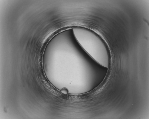 X0000103140783200808221103