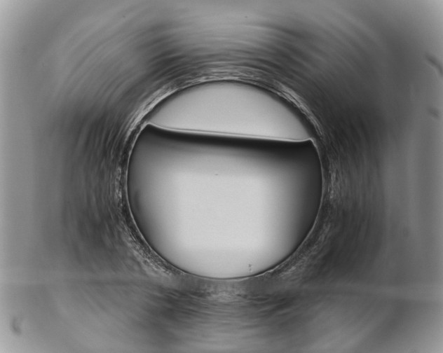 X0000103140786200808221103