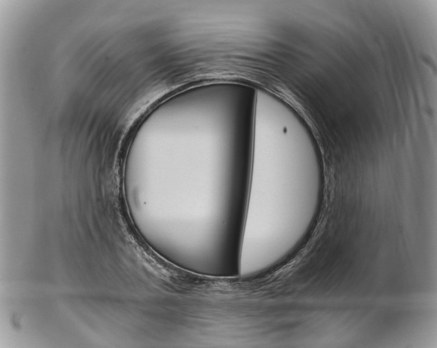 X0000103140787200808221103