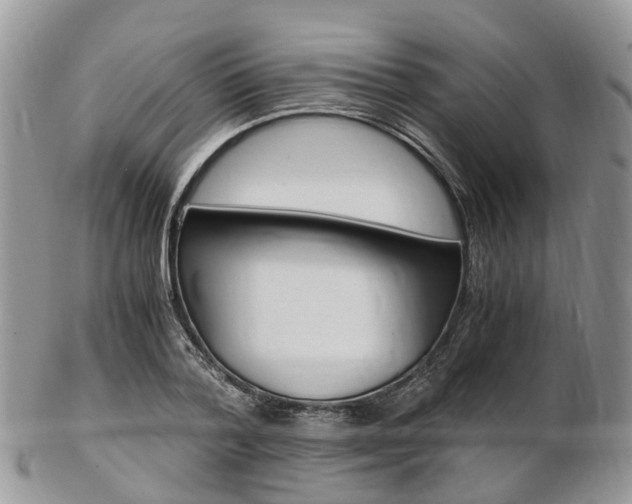 X0000103140788200808221103