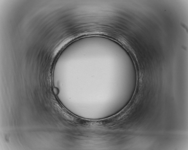 X0000103140789200808221103