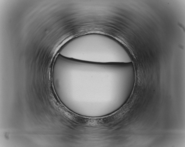 X0000103140790200808221103