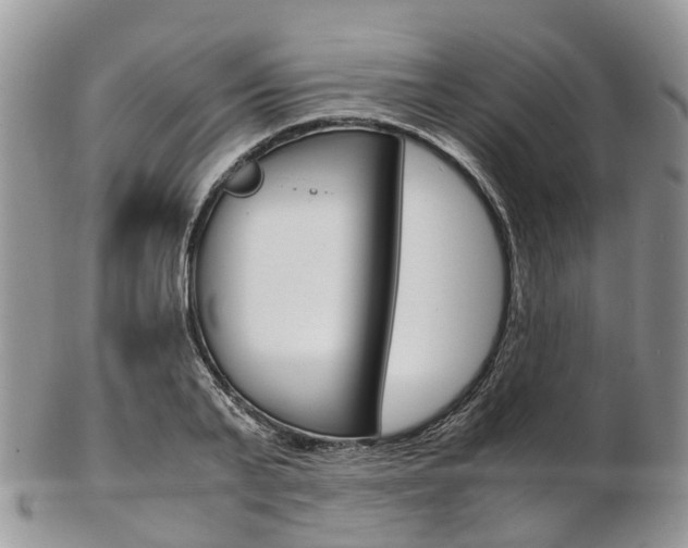 X0000103140791200808221103