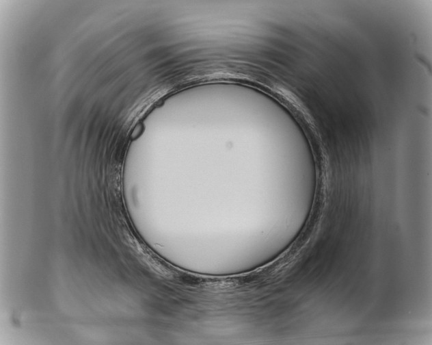 X0000103140793200808221103