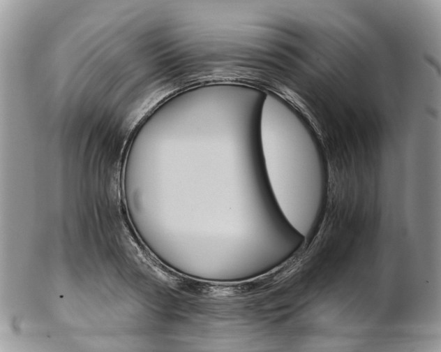 X0000103140794200808221103