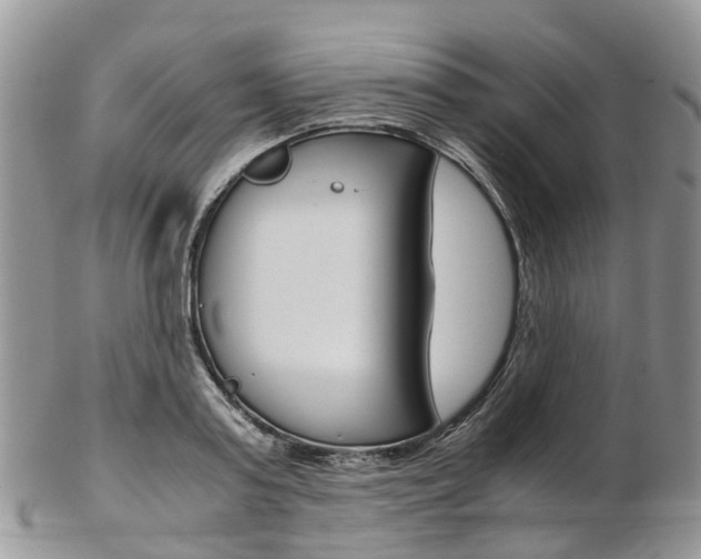 X0000103140795200808221103