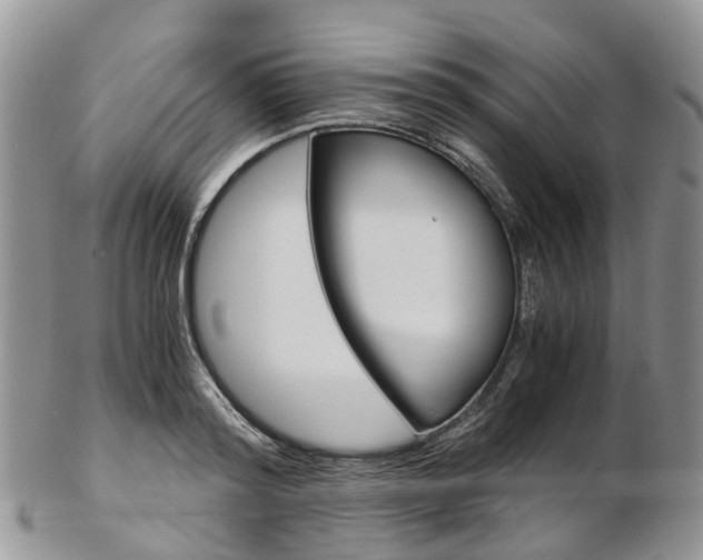X0000103140796200808221103